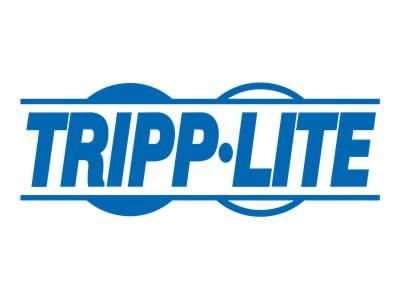 Tripp Lite CENTER-MOUNTED STEEL RACK SHELF 100LB SRSHELF2PCENTER