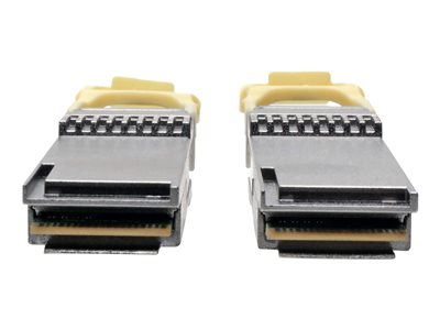 Tripp Lite   QSFP28 to QSFP28 Active Optical Cable 100GbE, AOC, M/M, Aqua, 3 m (9.8 ft.) 100GBase-AOC direct attach cable 3 m aqua N28H-03M-AQ
