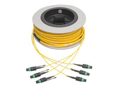 Tripp Lite   MTP/MPO (APC) Singlemode Slim Trunk Cable, 24-Strand, 40/100 GbE, 40/100GBASE-PLR4, Plenum, 6mm Dual Jacket, 23 m (75 ft.) tr… N392-23M-3X8-AP