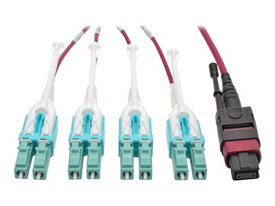 Tripp Lite   MTP/MPO to 8xLC Fan-Out Patch Cable, 40 GbE, 40GBASE-SR4, OM4 Plenum-Rated, Push/Pull Tab, Magenta, 5 m (16.4 ft.) patch cable… N845-05M-8L-MG