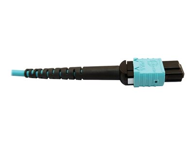 Tripp Lite   400G MTP/MPO Multimode OM4 Plenum-Rated Fiber Breakout Cable, 24F MTP/MPO-PC to (x8) LC Duplex-PC, Aqua, 1M breakout cable 1… N846D-01M-24CAQ