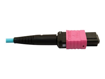 Tripp Lite   400G MTP/MPO Multimode OM4 Plenum-Rated Fiber Cable, 24F MTP/MPO-UPC to 16F MTP/MPO-UPC, Aqua, 1M network cable 1 m black, ma… N846D-01M-24DAQ