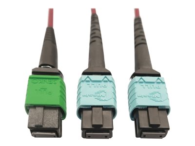 Tripp Lite   400G MTP/MPO Multimode OM4 Plenum-Rated Fiber Cable, 16F MTP/MPO-APC to (x2) 12F MTP/MPO-UPC, Magenta, 3M network cable 3 m b… N846D-03M-16DMG