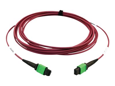 Tripp Lite   400G MTP/MPO Multimode OM4 Plenum-Rated Fiber Cable, MTP/MPO-APC to MTP/MPO-APC (F/F), Magenta, 5M network cable 5 m black, m… N846D-05M-16AMG