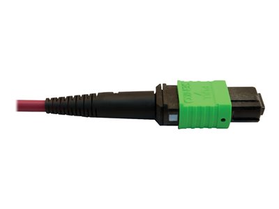 Tripp Lite   400G MTP/MPO Multimode OM4 Plenum-Rated Fiber Cable, MTP/MPO-APC to MTP/MPO-APC (F/F), Magenta, 5M network cable 5 m black, m… N846D-05M-16AMG