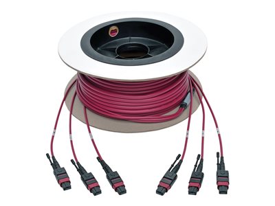 Tripp Lite   24-Fiber MTP MPO OM4 Base-8 MMF Trunk Cable 40/100GbE 3X, 15M network cable 15 m magenta N858-15M-3X8-MG