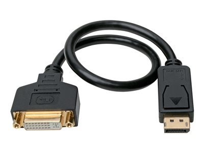 Tripp Lite   DisplayPort to DVI Adapter Converter Cable M/F 1080p Black DP to DVI 1ft video adapter DisplayPort to DVI-I 1 ft P134-001-GC