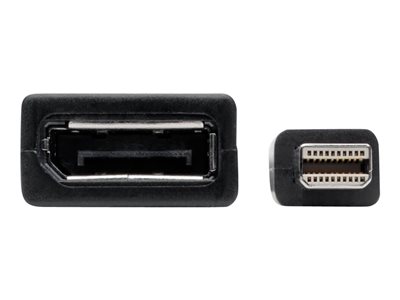 Tripp Lite   Mini DisplayPort to DisplayPort Adapter 4K @ 60Hz mDP to DP 6in DisplayPort cable 6 in P139-06N-DP4K6B