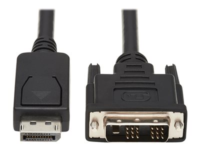 Tripp Lite   Safe-IT DisplayPort-to-DVI Antibacterial Cable (M/M), DVI-D Single Link, 1920 x 1200 @ 60 Hz, Black, 6 ft. video adapter cable Dis… P581AB-006