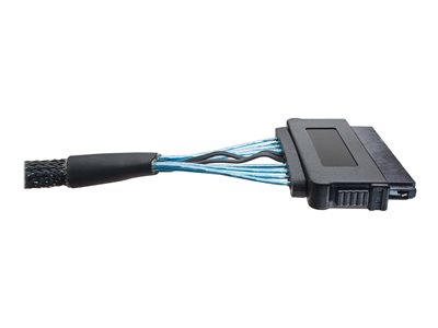 Tripp Lite   3ft Internal SAS Cable mini-SAS SFF-8087 to 32pin SFF-8484 4-in-1 3′ SAS internal cable 3 ft S510-003