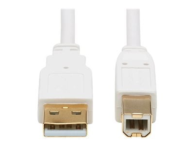 Tripp Lite   Safe-IT USB-A to USB-B Antibacterial Cable (M/M), USB 2.0, White, 10 ft. USB cable USB to USB Type B 10 ft U022AB-010-WH