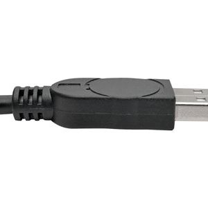 Tripp Lite   6ft 2-Port USB to DB9/ RS 232 Serial Adapter FTDI, w/ COM Retention serial adapter USB RS-232 x 2 U209-006-2