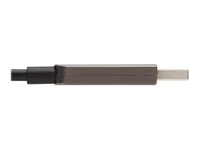 Tripp Lite   USB-A 3.2 Gen 1 CL3-Rated Fiber Active Optical Cable (AOC) Extension/Repeater, A/A M/F, Black, 10 m USB-C extension cable 33 ft U330F-10M-G1