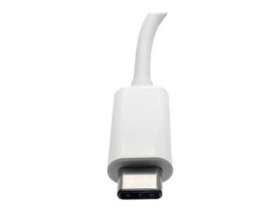 Tripp Lite   USB C to DVI Video Adapter Converter w/ USB-C PD Charging, USB Type C to DVI, USB-C to DVI, USB Type-C to DVI external video ada… U444-06N-D-C