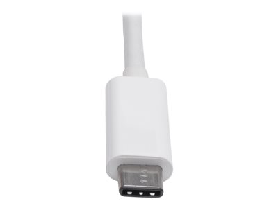 Tripp Lite   USB C to DisplayPort Video Adapter Converter 4Kx2K M/F, USB-C to DP, USB Type-C to DP, USB Type C to DP 6in external video ada… U444-06N-DP-AM