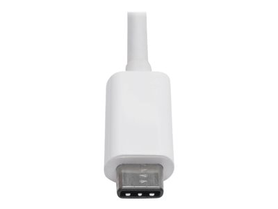 Tripp Lite   USB-C to DisplayPort Adapter Cable (M/F) with Equalizer, 8K UHD, HDR, DP 1.4, White, 6 in. (15.24 cm) USB / DisplayPort adapter… U444-06N-DP8W