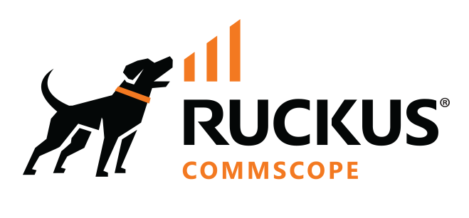 Ruckus Wireless