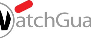 WatchGuard FIREBOXV LARGE WITH 1-MONTH STANDARD SUPPORT SUBSCRIPTION WGVLG918