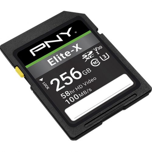 PNY Technologies Elite-X 256 GB Class 10/UHS-I (U3) SDXC P-SD256U3100EX-GE