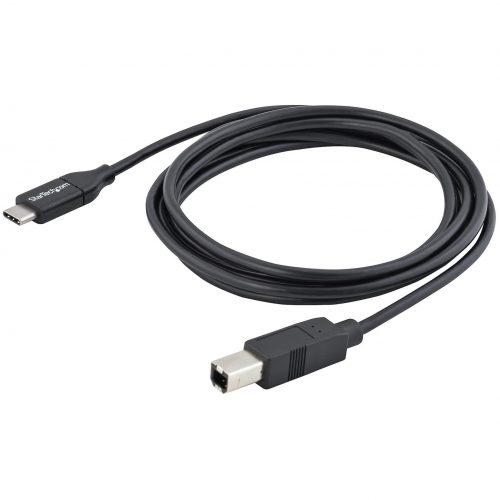 Startech .com 2m 6 ft USB C to USB B CableM/MUSB 2.0USB Type C Printer CableUSB 2.0 Type-C to Type-B CableConnect USB 2.0 USB-B d… USB2CB2M