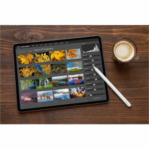 Targus Wireless Charging Active Stylus for iPadBluetoothActiveReplaceable Stylus TipWhiteTablet PC Device Supported AMM181GL